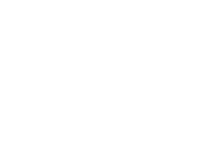 Mind Gym